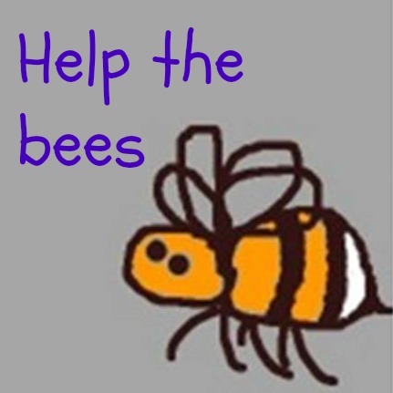 How Can I Help The Bees?