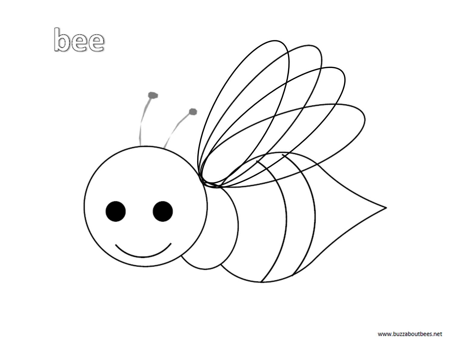 Bee Coloring Pages Educational Activity Sheets And Puzzles