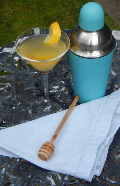 Cocktail glass and shaker on a table with a honey dipper.