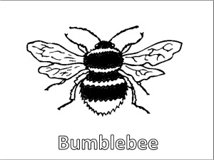 Bee Coloring Pages Free To Download And Print - roblox coloring pages bee