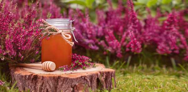 heather-honey-characteristics-types-benefits