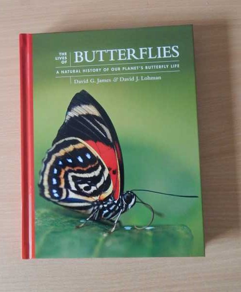 The Lives of Butterflies