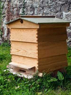 History Of Beekeeping